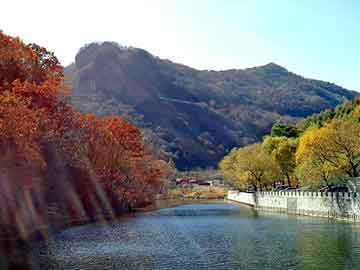 管家婆黑白马报图库，石油焦